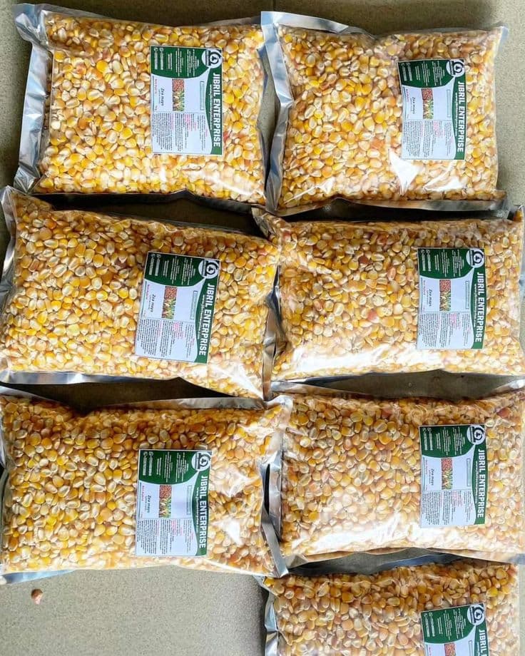 Certified Hybrid Maize Seeds