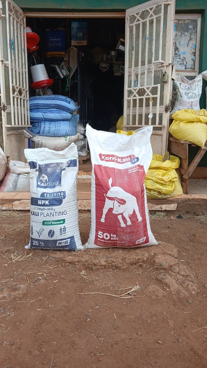 KALI PLANTING 10 kg